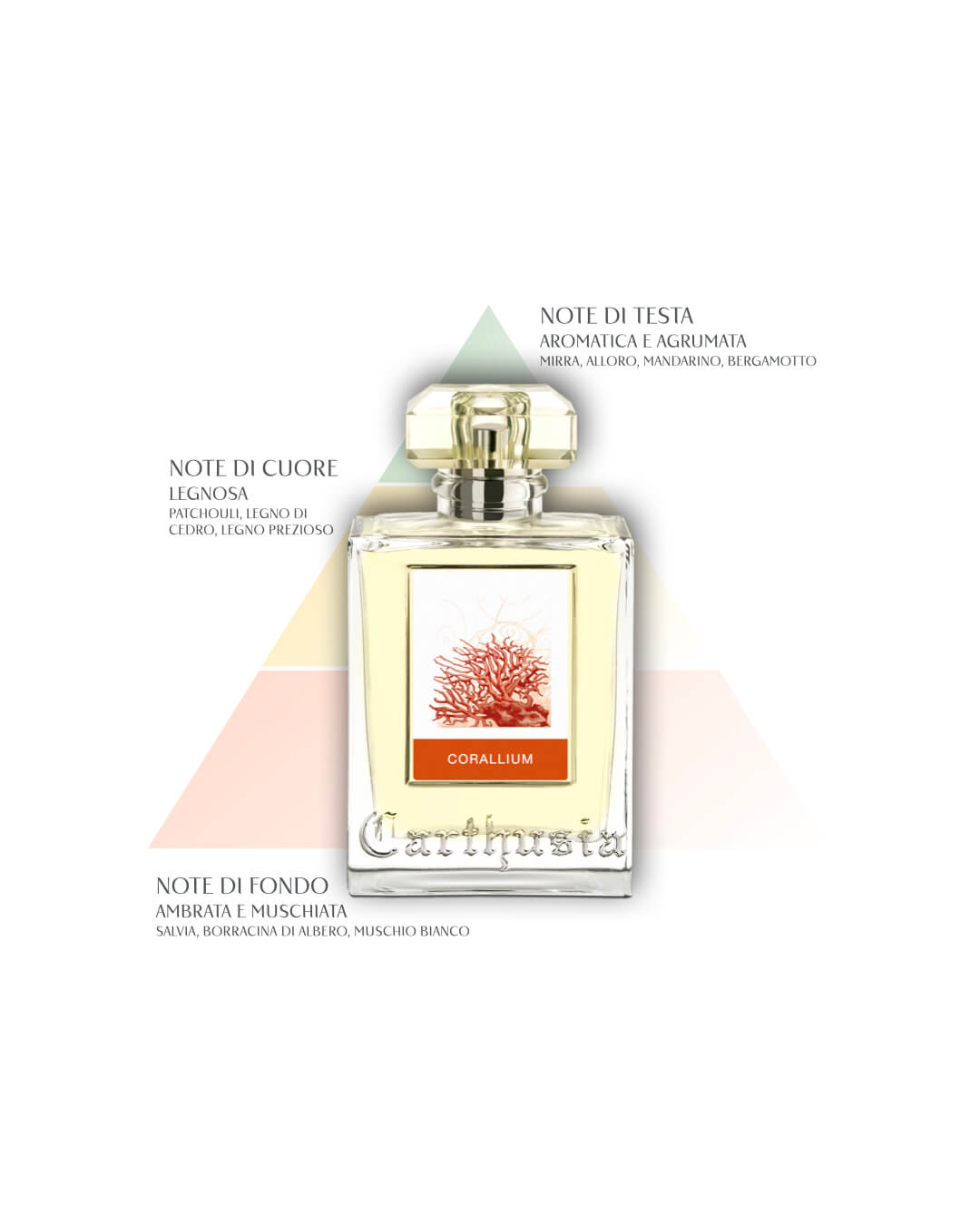 Corallium- Eau de Parfum - Carthusia