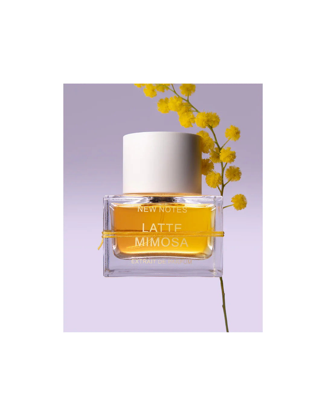 Latte Mimosa - Extrait de Parfum - New Notes