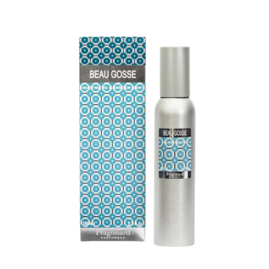 Beau Gosse - Fragonard