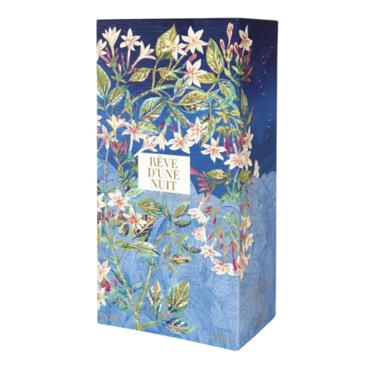 Rêve d'une Nuit - Fragonard