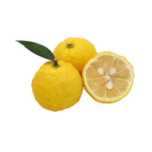 Yuzu - Eau De Parfum - J-Scent