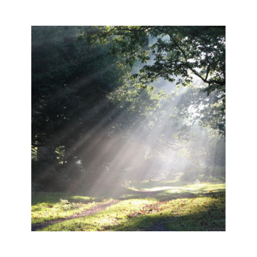 Shaft of light - Eau De Parfum - J-Scent