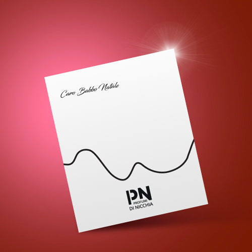 PdN Christmas Gift Box - Confezione regalo di natale