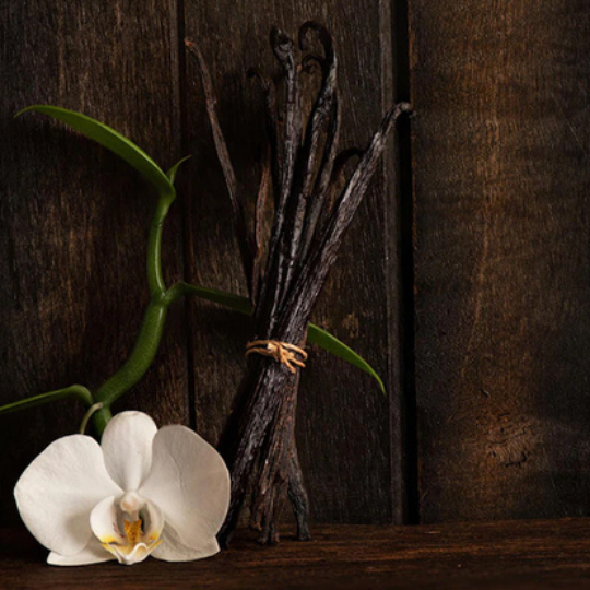 Thaljee - Body Lotion - Naseem