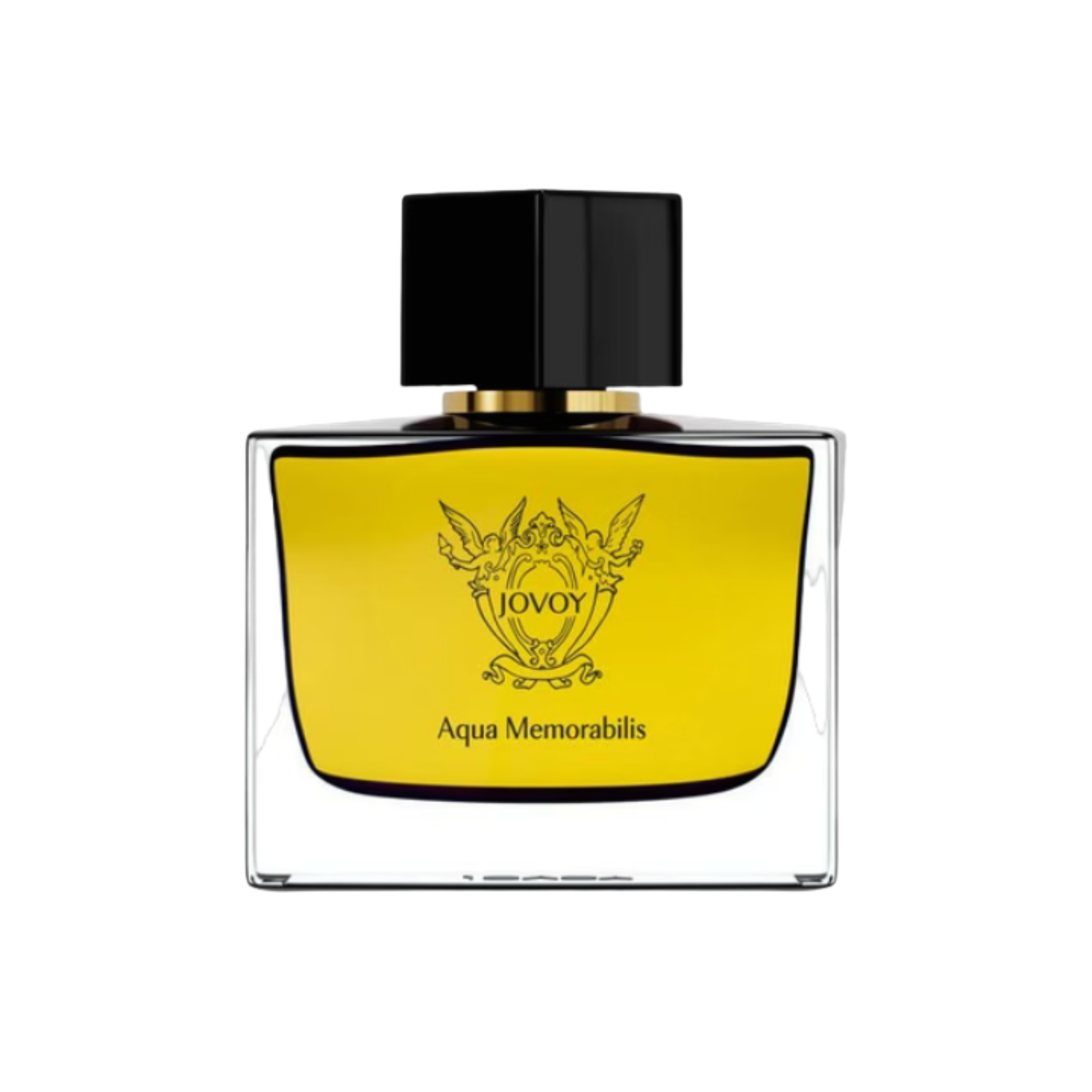 Aqua Memorabilis - Eau De Parfum - Jovoy